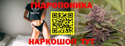 мдма Аргун