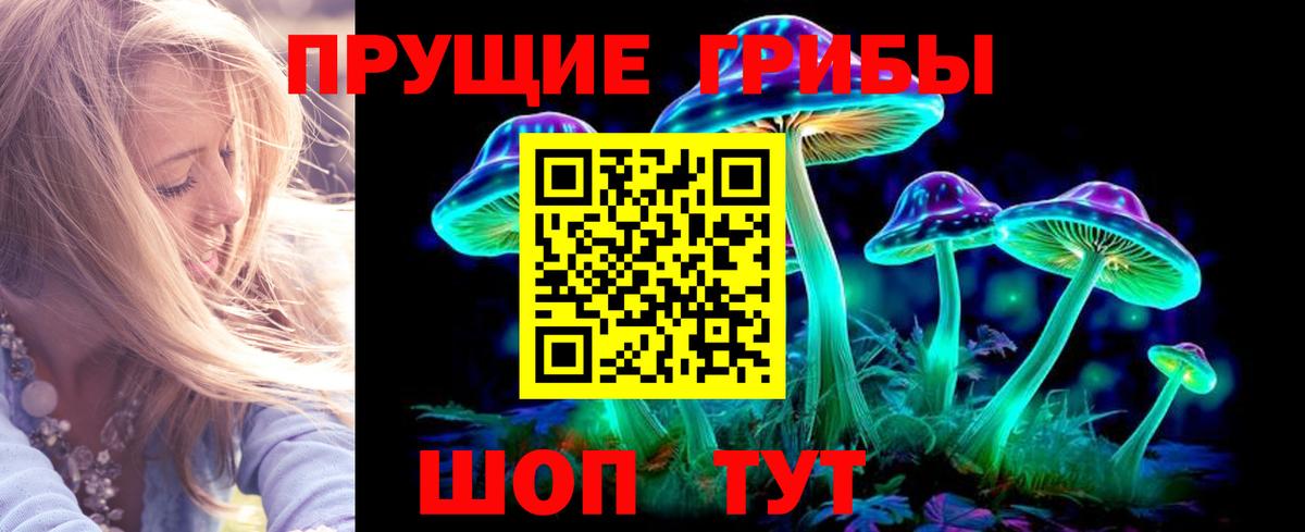 что такое наркотик  Псилоцибиновые грибы прущие грибы  Вход с VPN  Всеволожск 